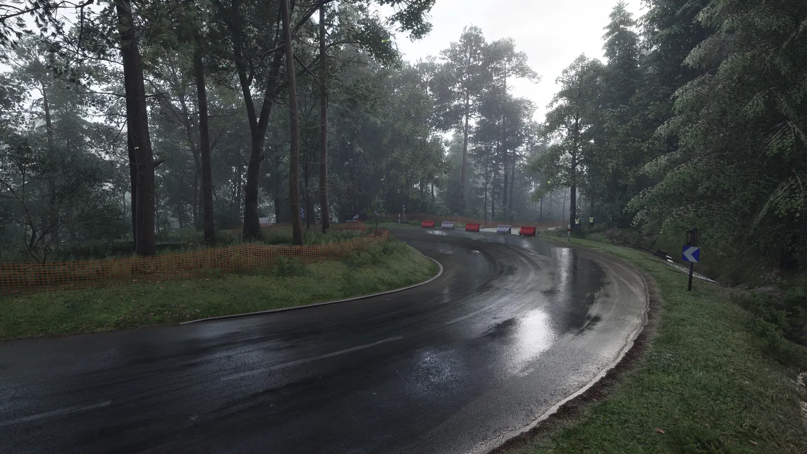 Assetto Corsa Rally media 18