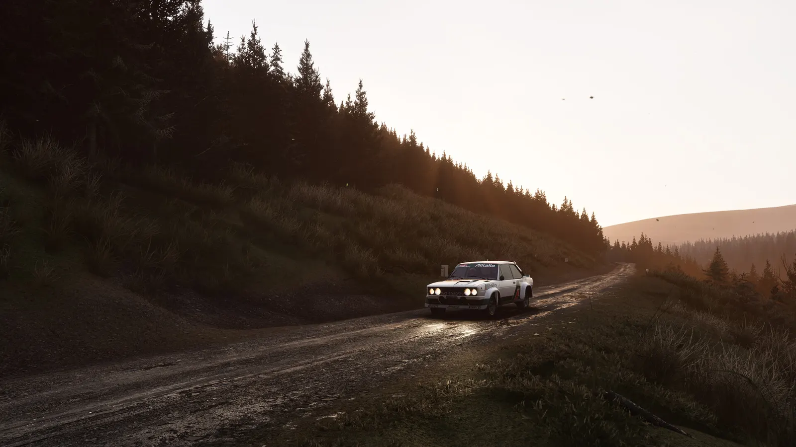 Assetto Corsa Rally media 19