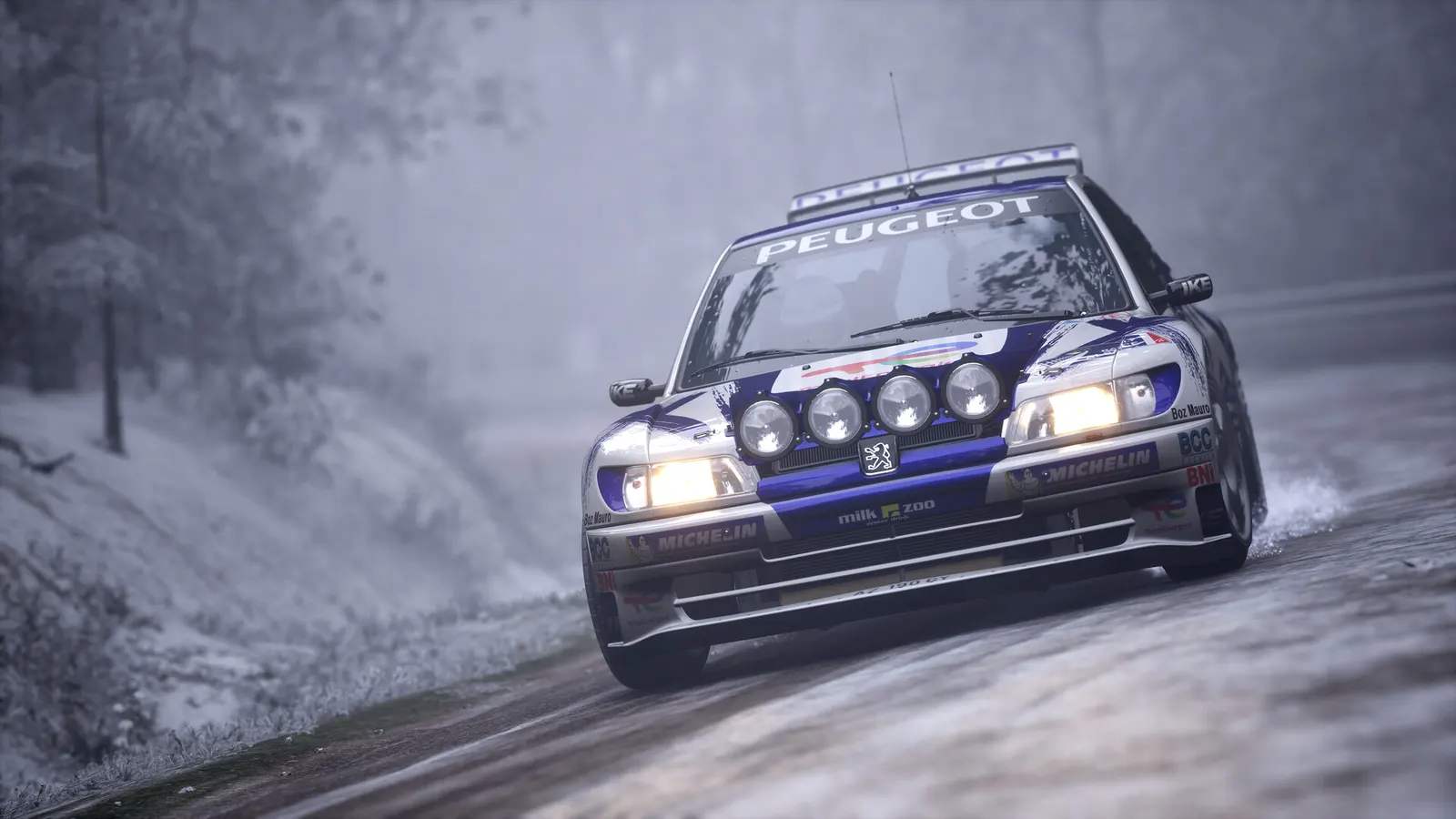 Assetto Corsa Rally media 15