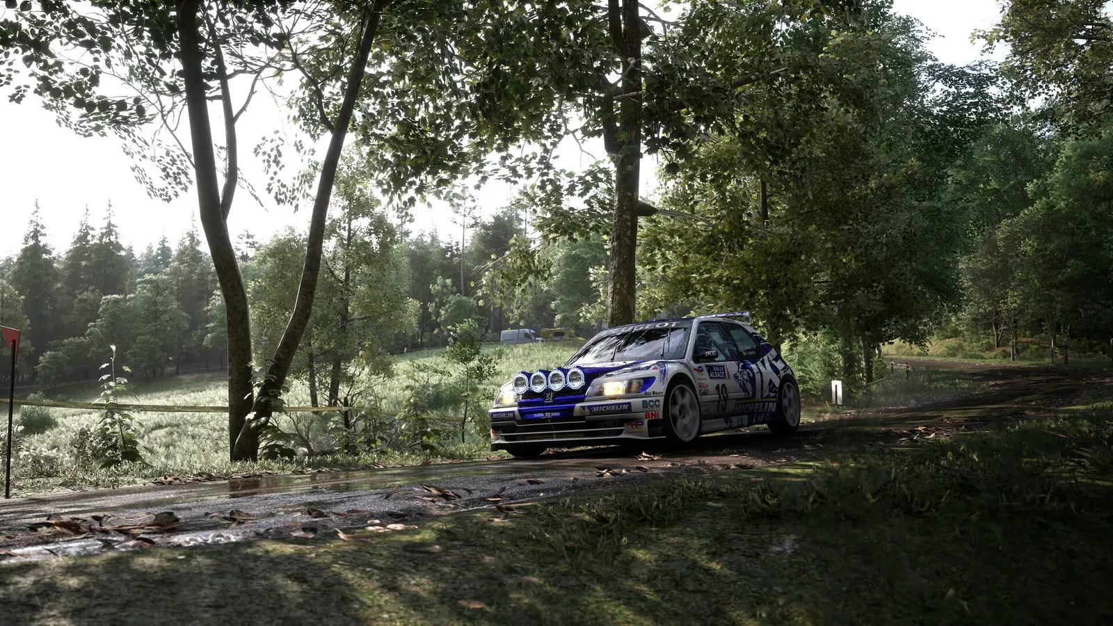Assetto Corsa Rally media 17