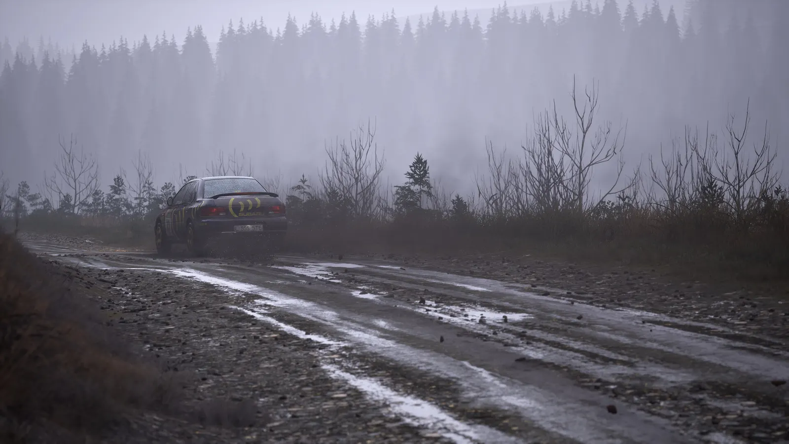 Assetto Corsa Rally media 20