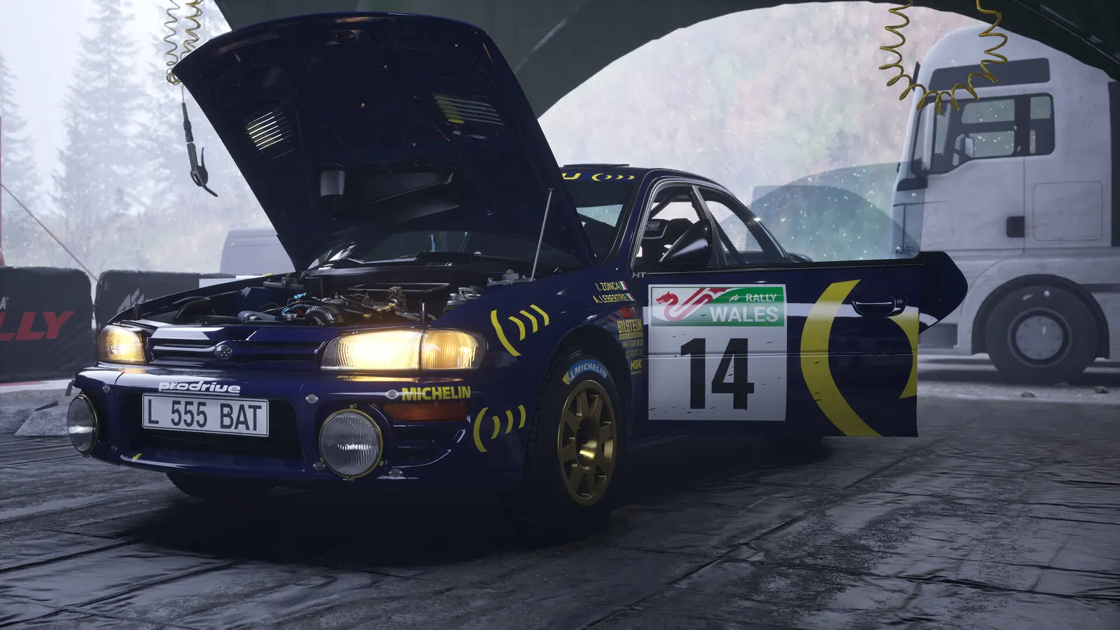 Assetto Corsa Rally media 23