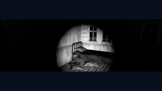 ASZG Project Director's Cut