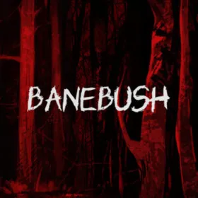 Обкладинка гри Banebush