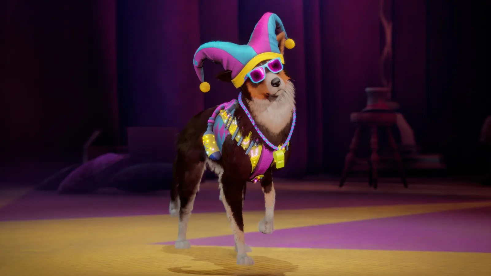 Barkour media 14