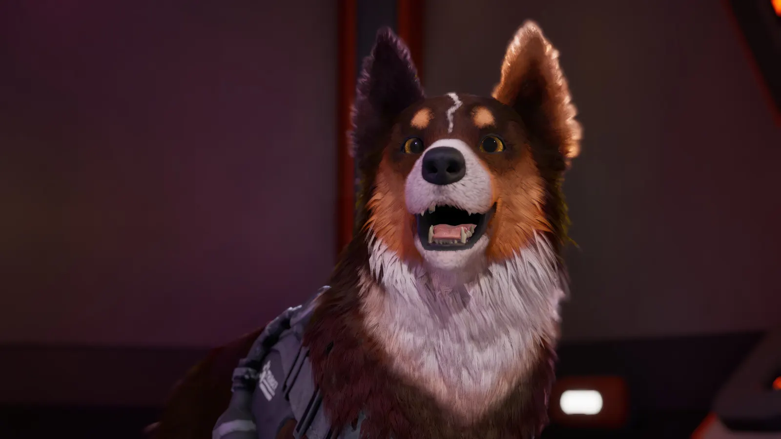 Barkour media 15