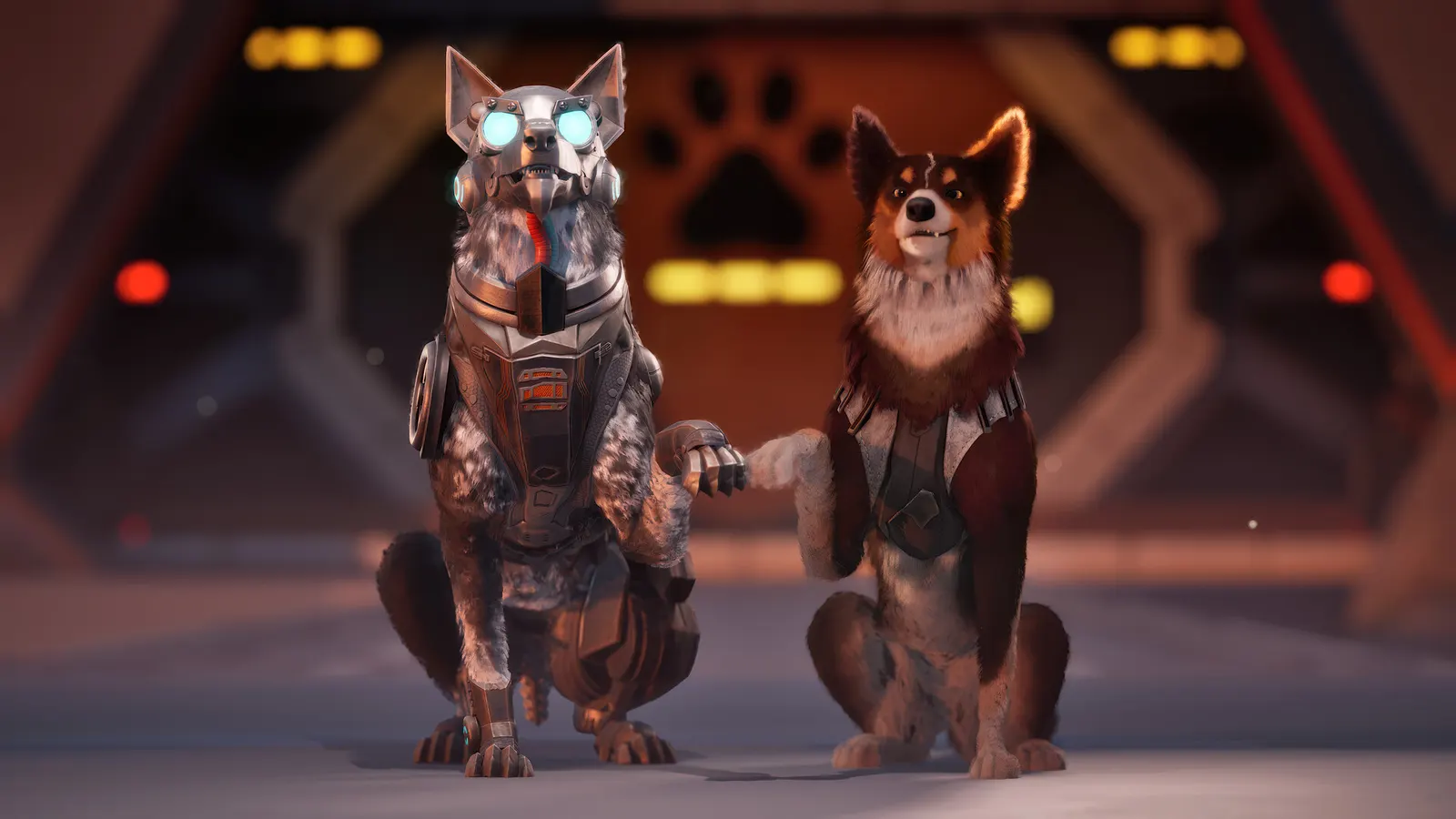 Barkour media 16