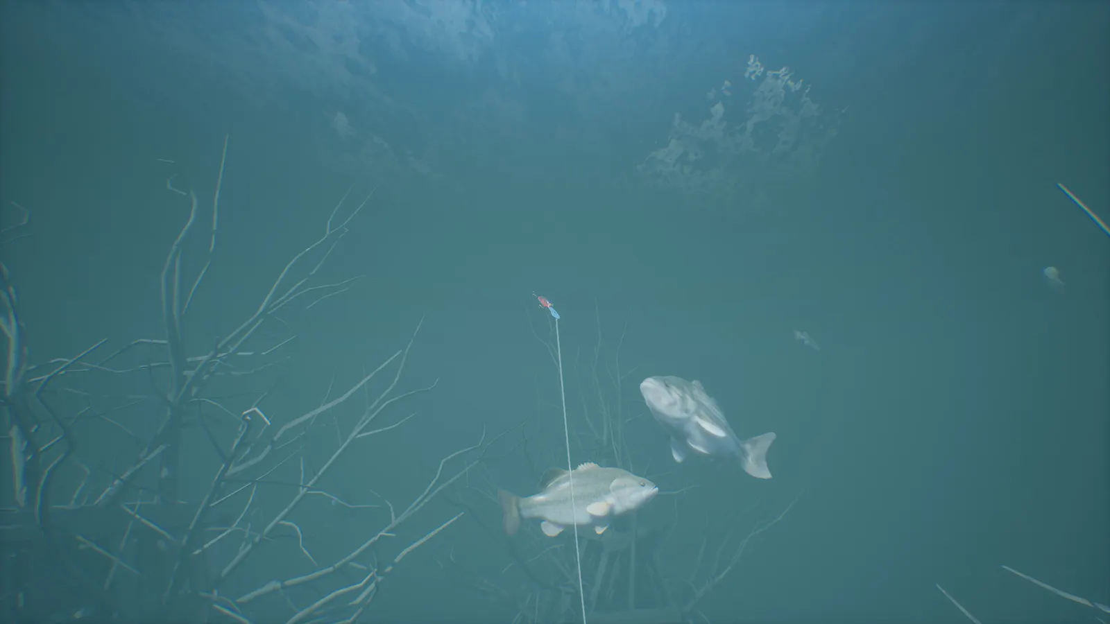 Bassmaster® Fishing media 13