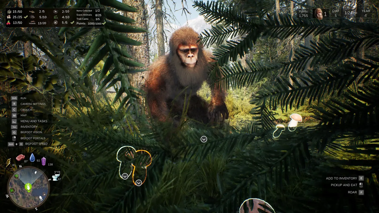 Bigfoot Life media 2