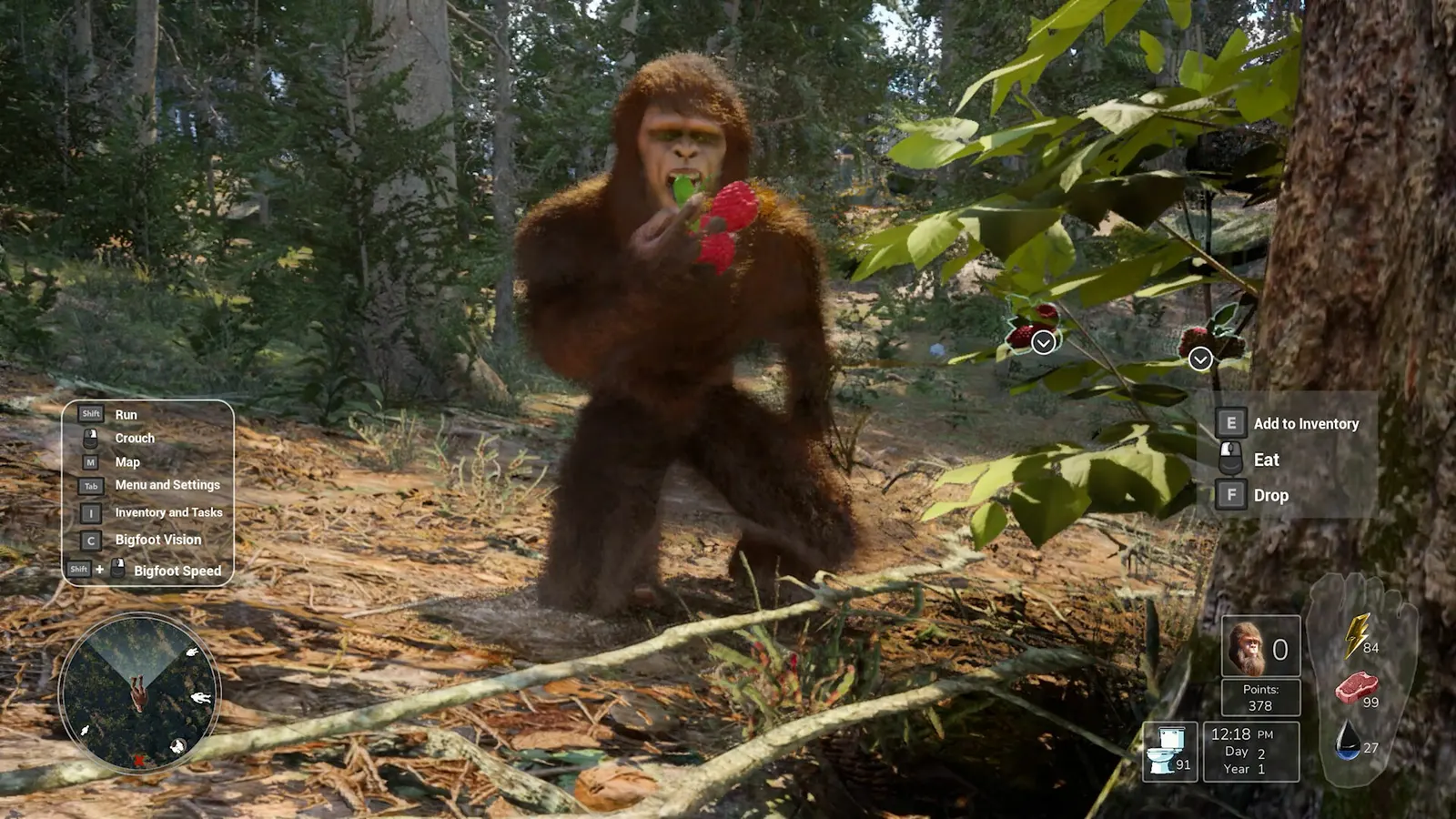 Bigfoot Life media 3