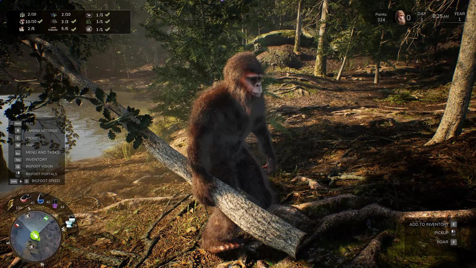 Bigfoot Life media 3
