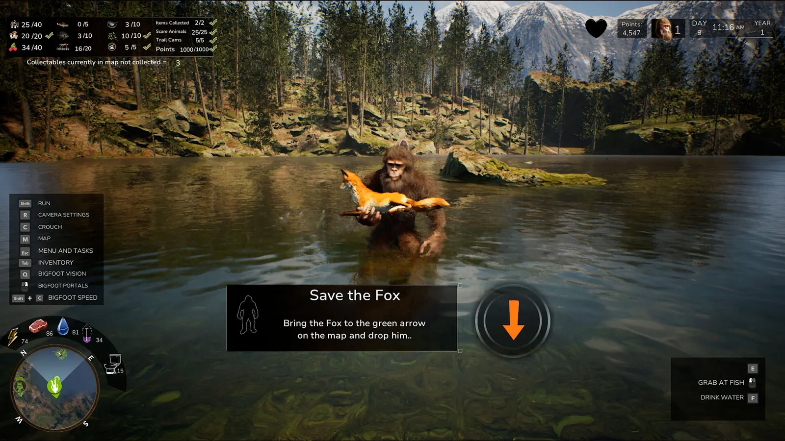 Bigfoot Life media 8