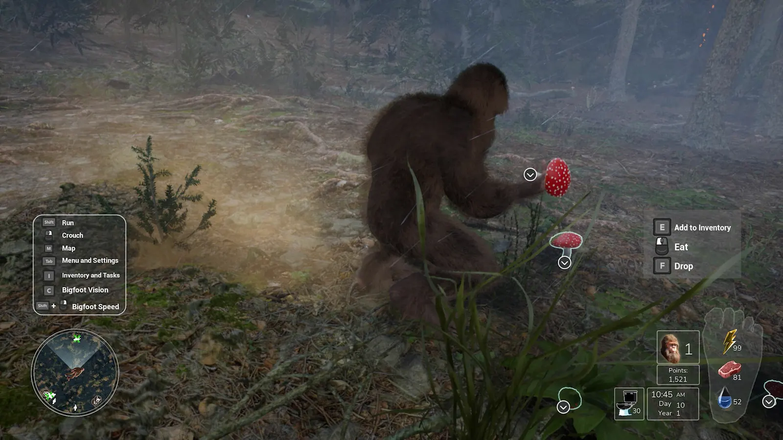 Bigfoot Life media 10