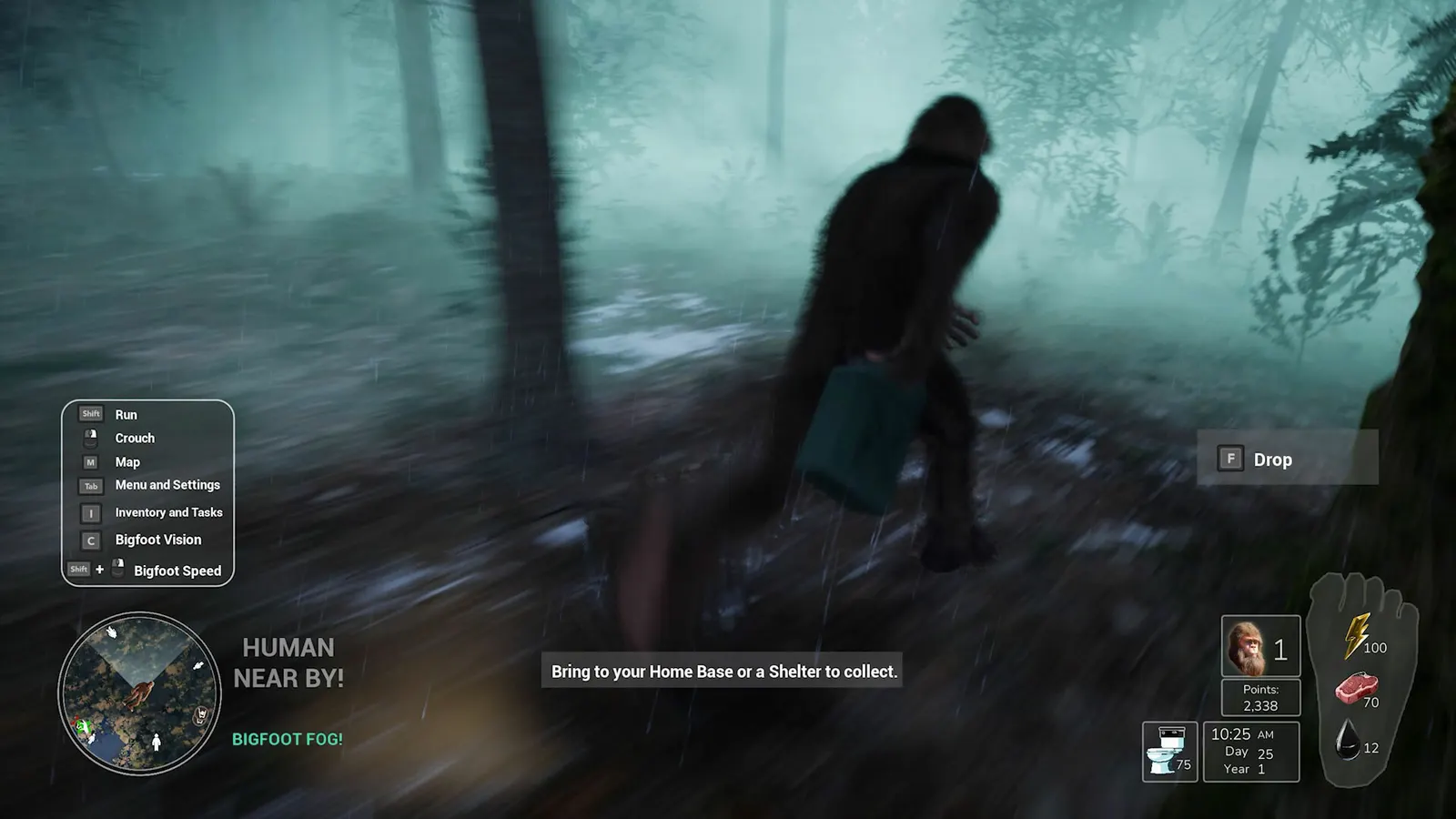 Bigfoot Life media 13