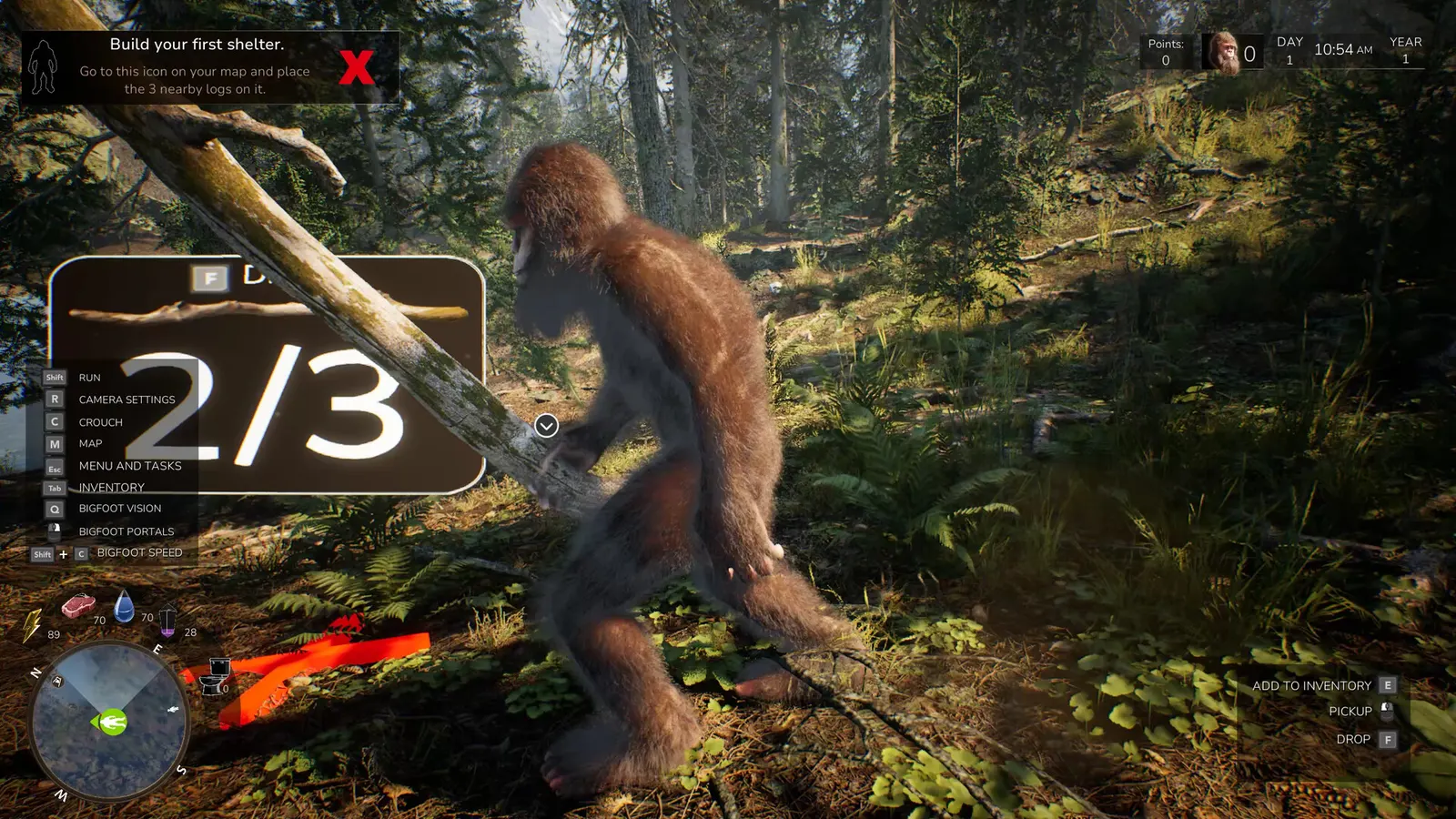 Bigfoot Life media 15