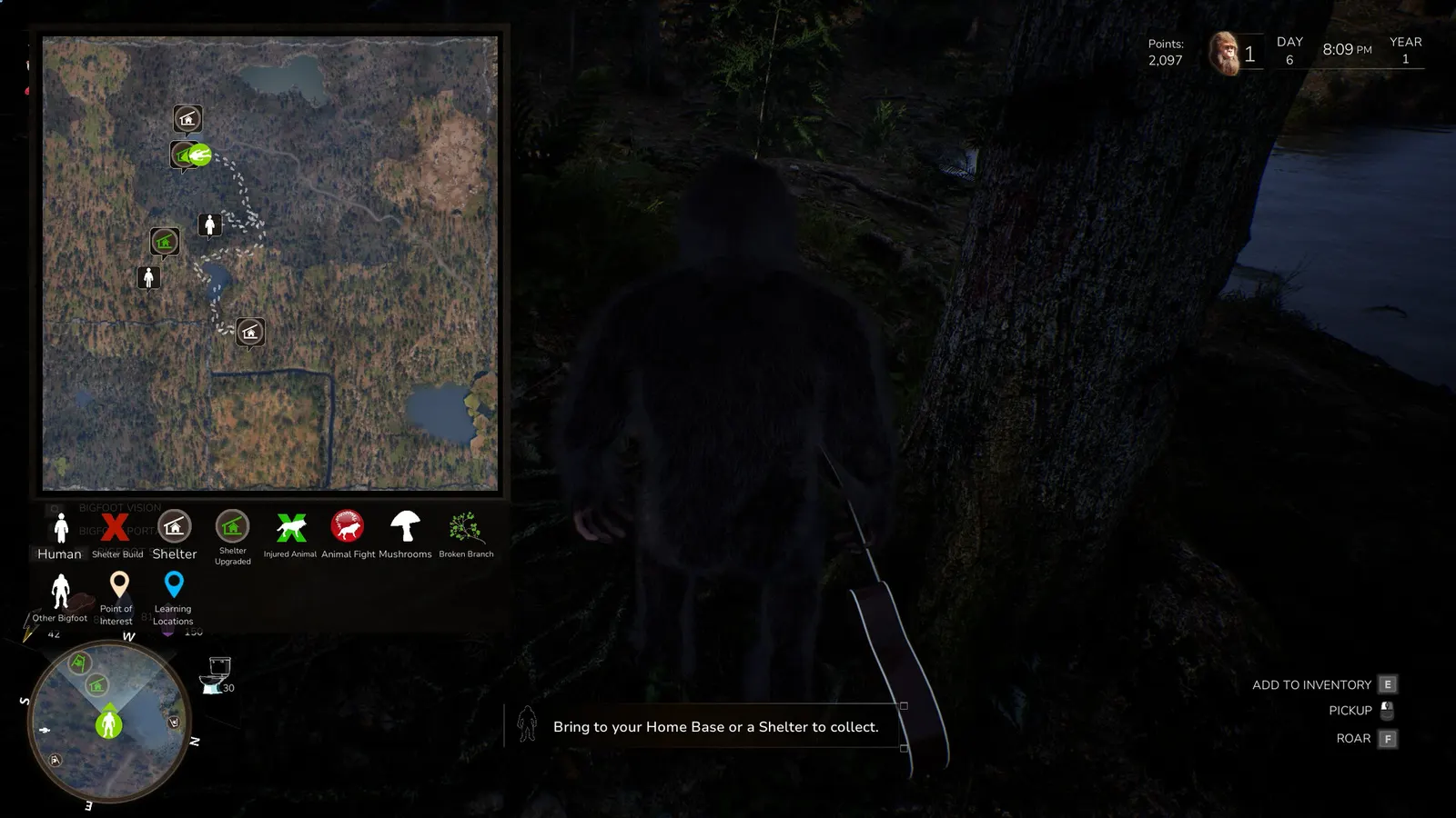 Bigfoot Life media 19