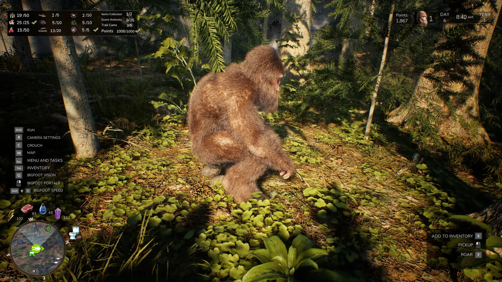 Bigfoot Life media 23