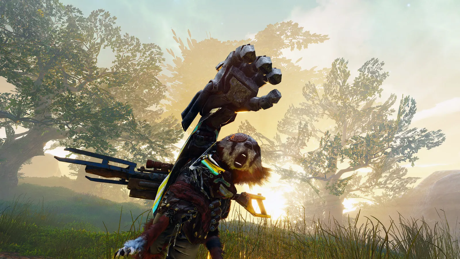 BIOMUTANT media 6