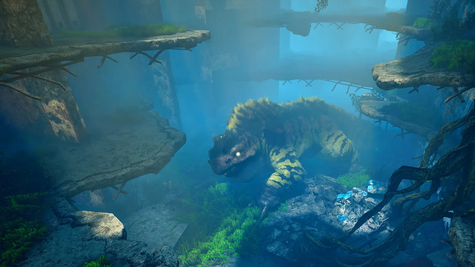 BIOMUTANT media 20