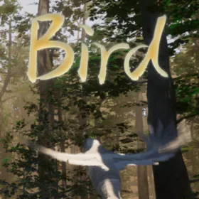 Обкладинка гри Bird