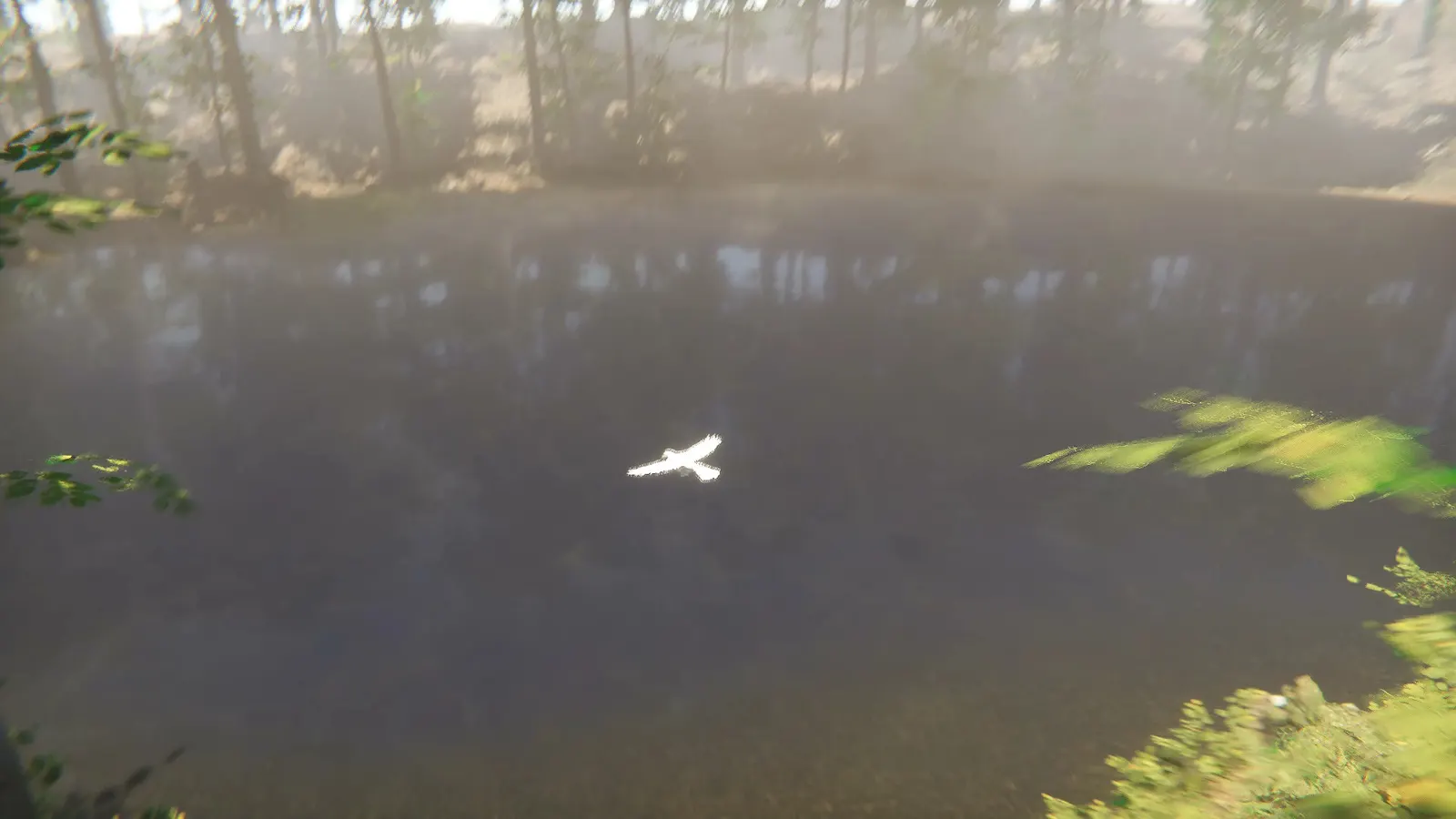 Bird media 5