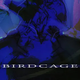 Обкладинка гри BIRDCAGE