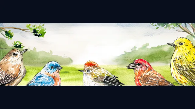 Birdfull