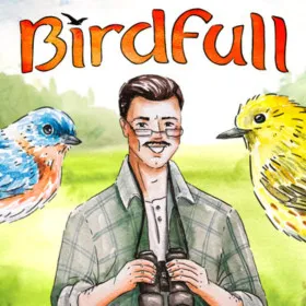 Обкладинка гри Birdfull