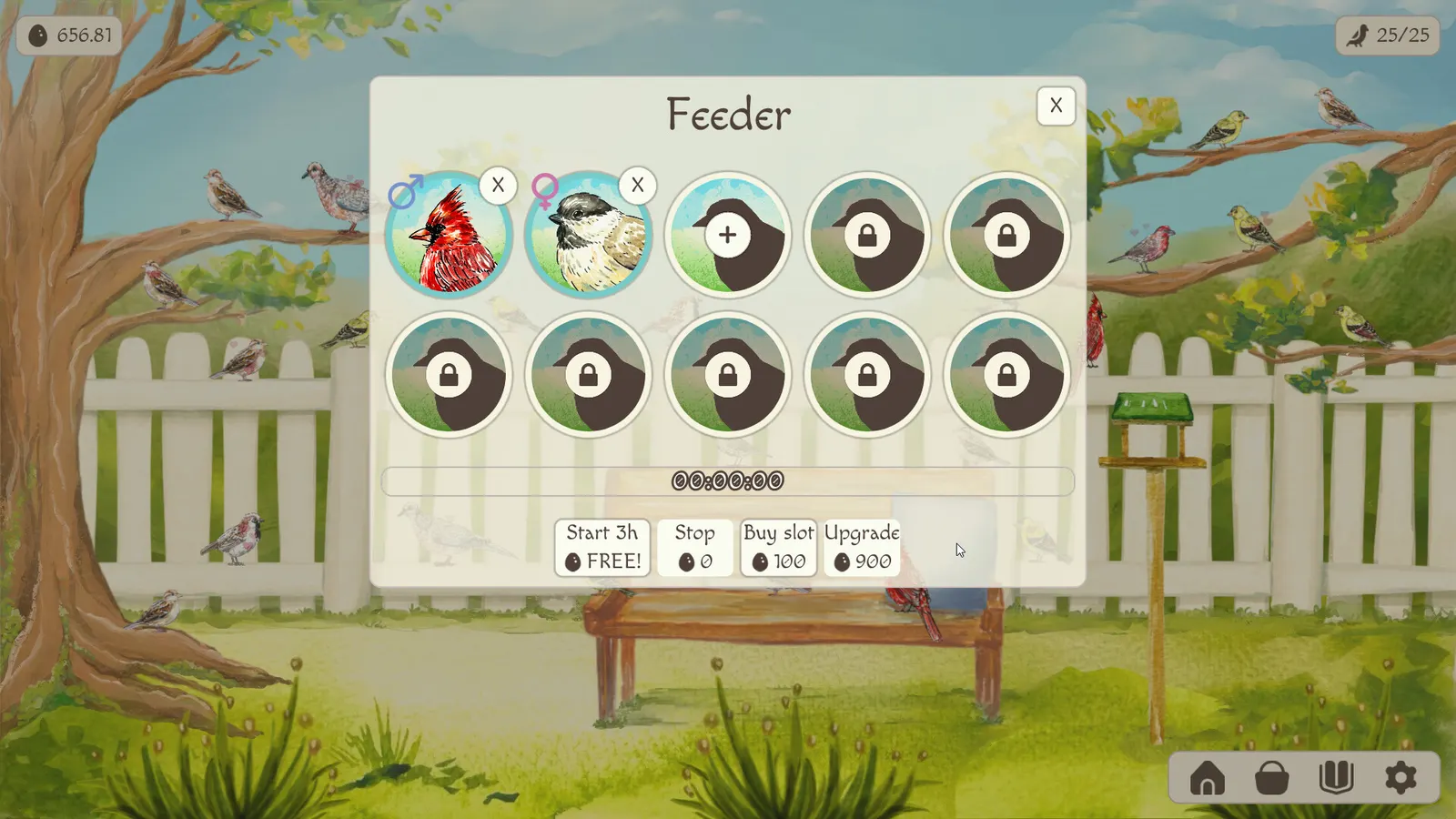 Birdfull media 5