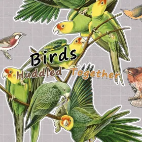 Обкладинка гри Birds Huddled Together