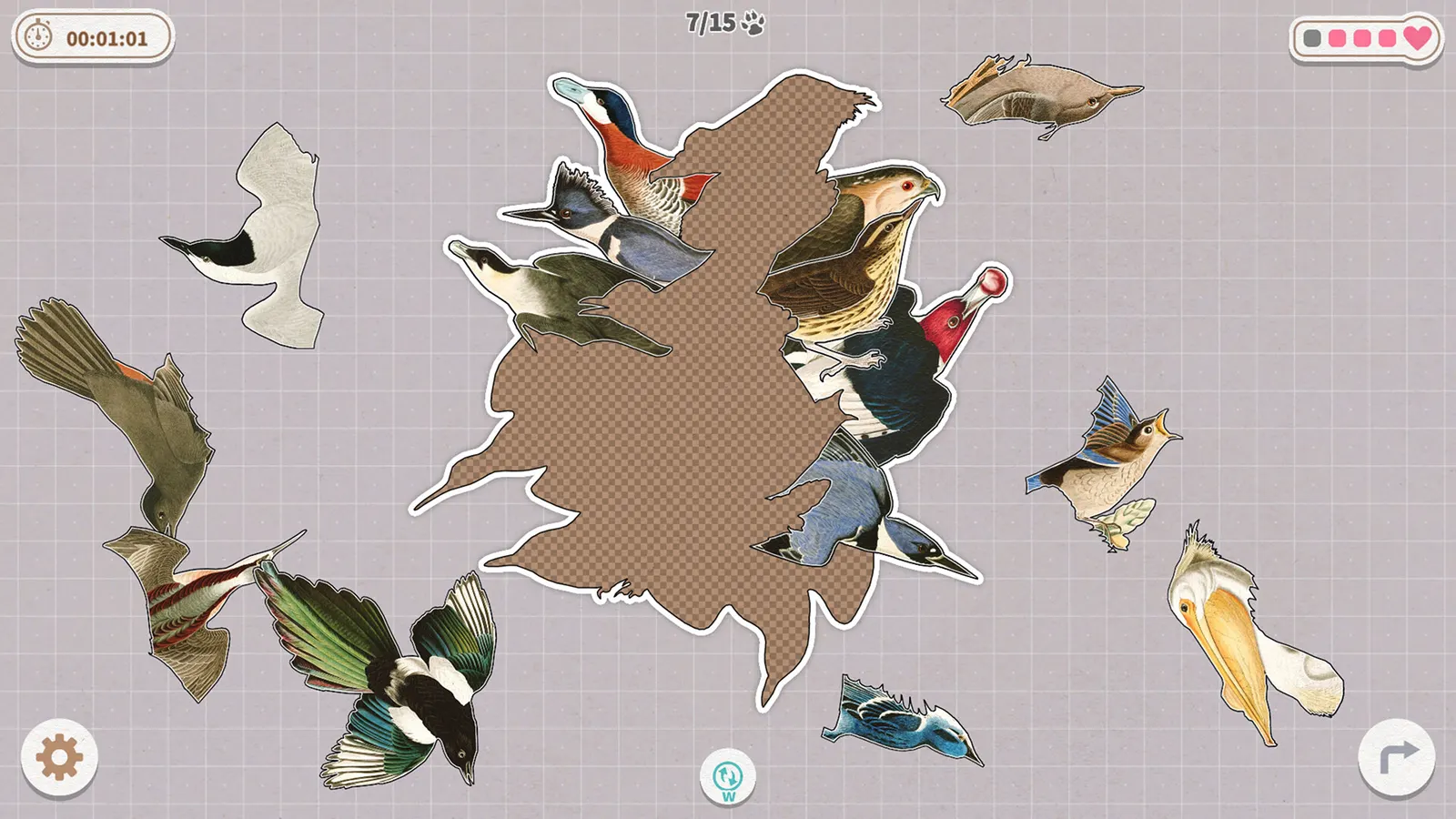 Birds Huddled Together media 10