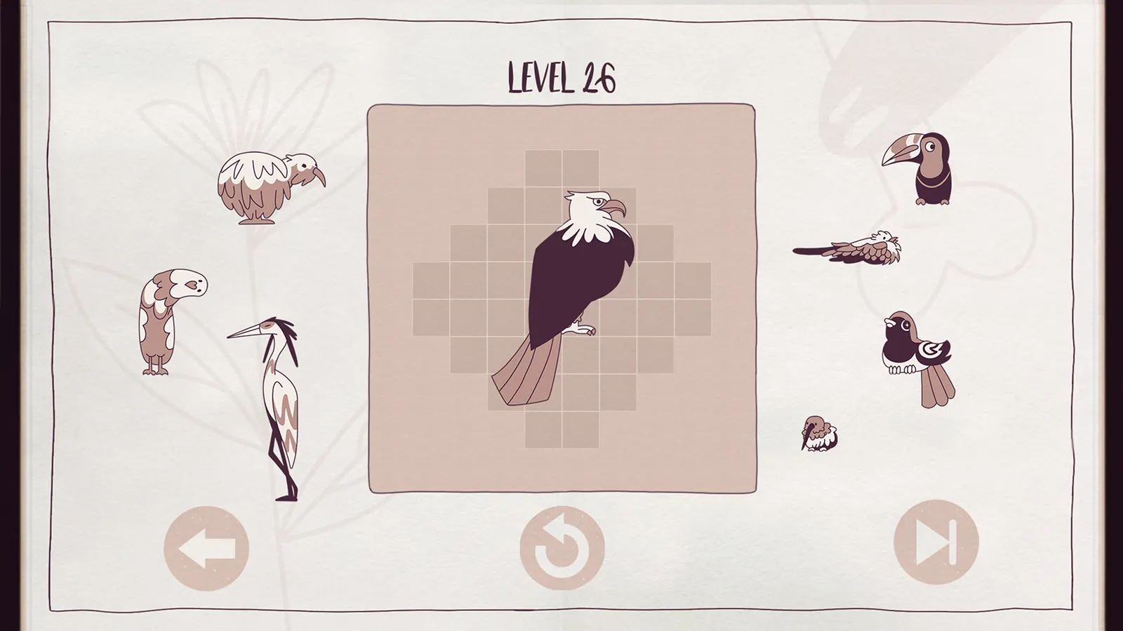 Birds Organized Neatly media 3