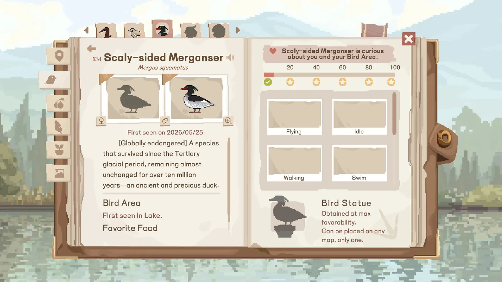 Birdwatching Notebook media 6