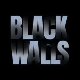 Обкладинка гри BLACK WALLS