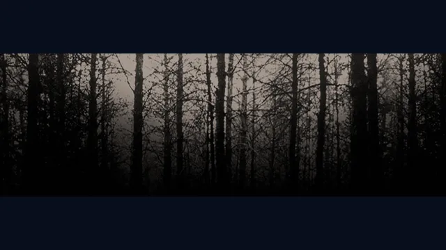 Blair Witch Project: Episode 3 - Elly Kedward Tale