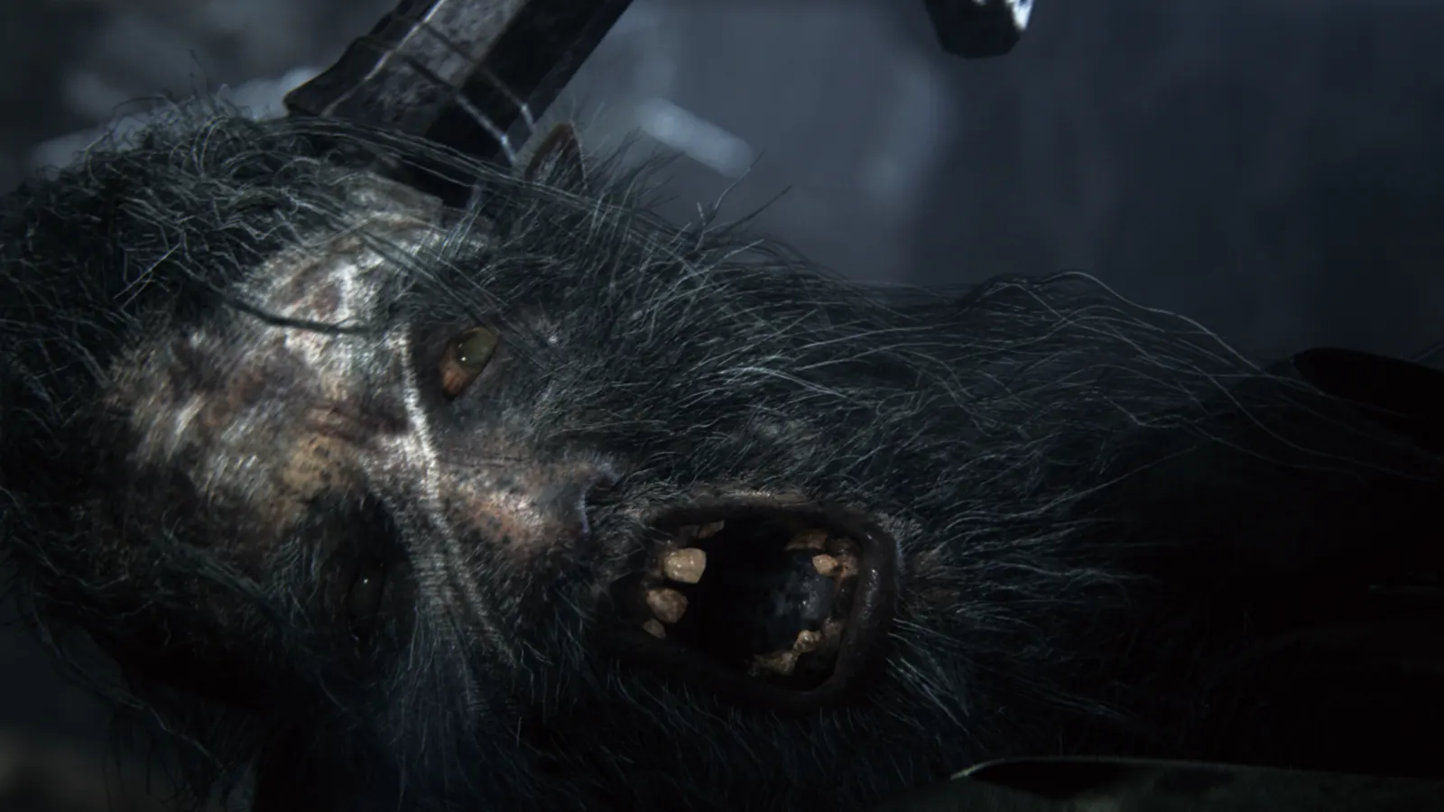 Bloodborne media 2
