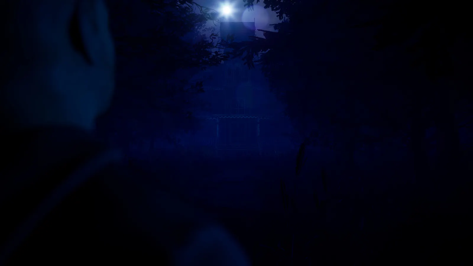Blue Light media 3