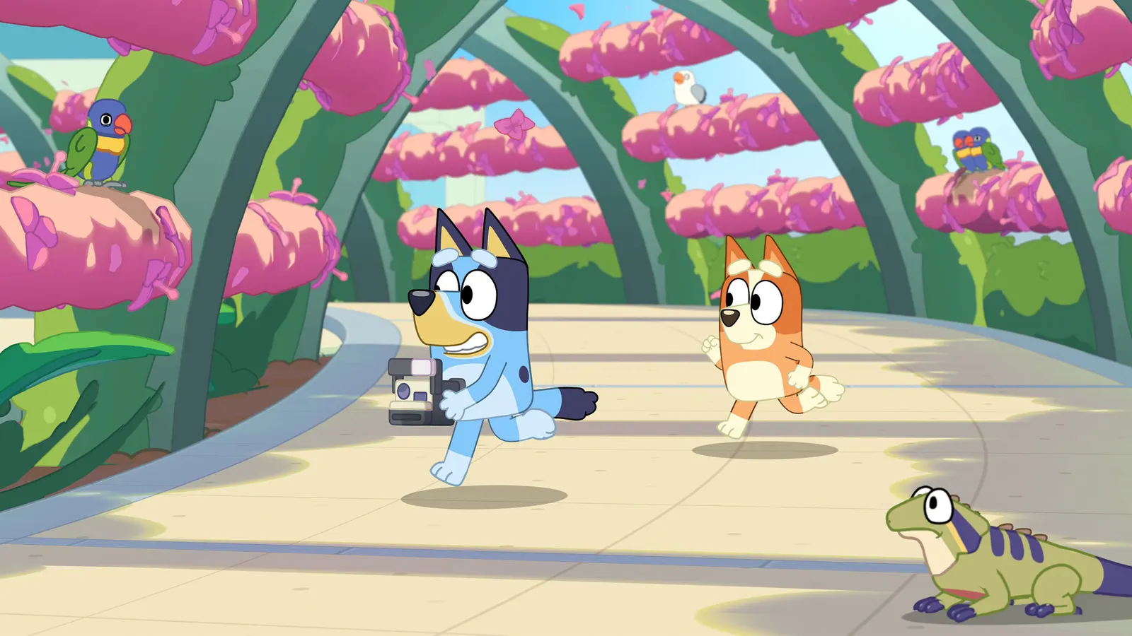 Bluey's Happy Snaps media 11