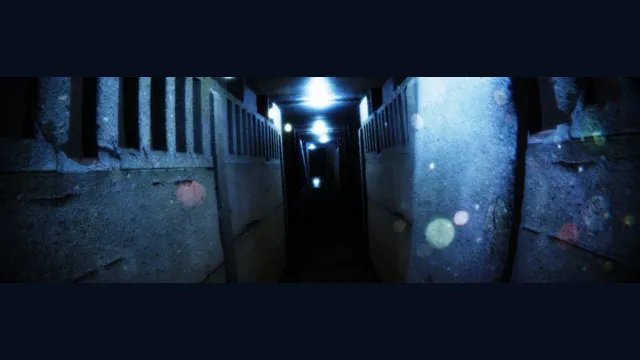 BoneField: Bodycam Horror