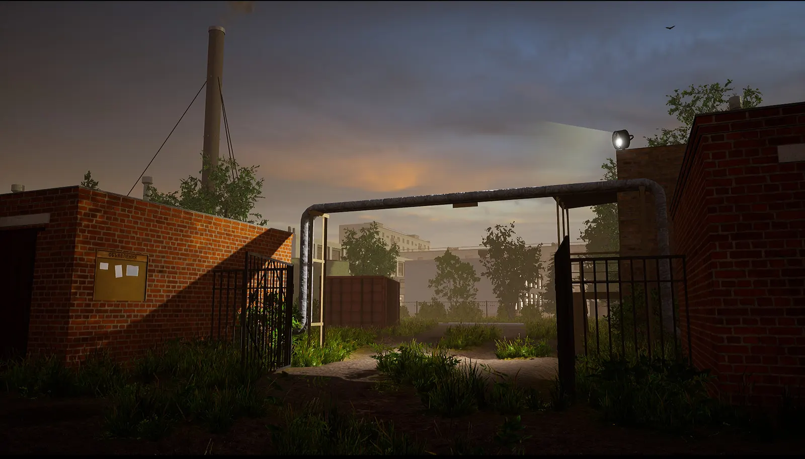 Bright Lights of Svetlov media 9