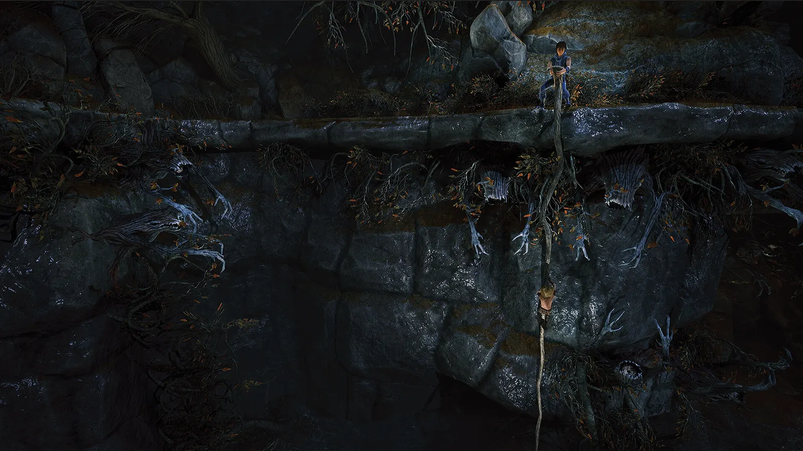 Brothers: A Tale of Two Sons Remake media 9