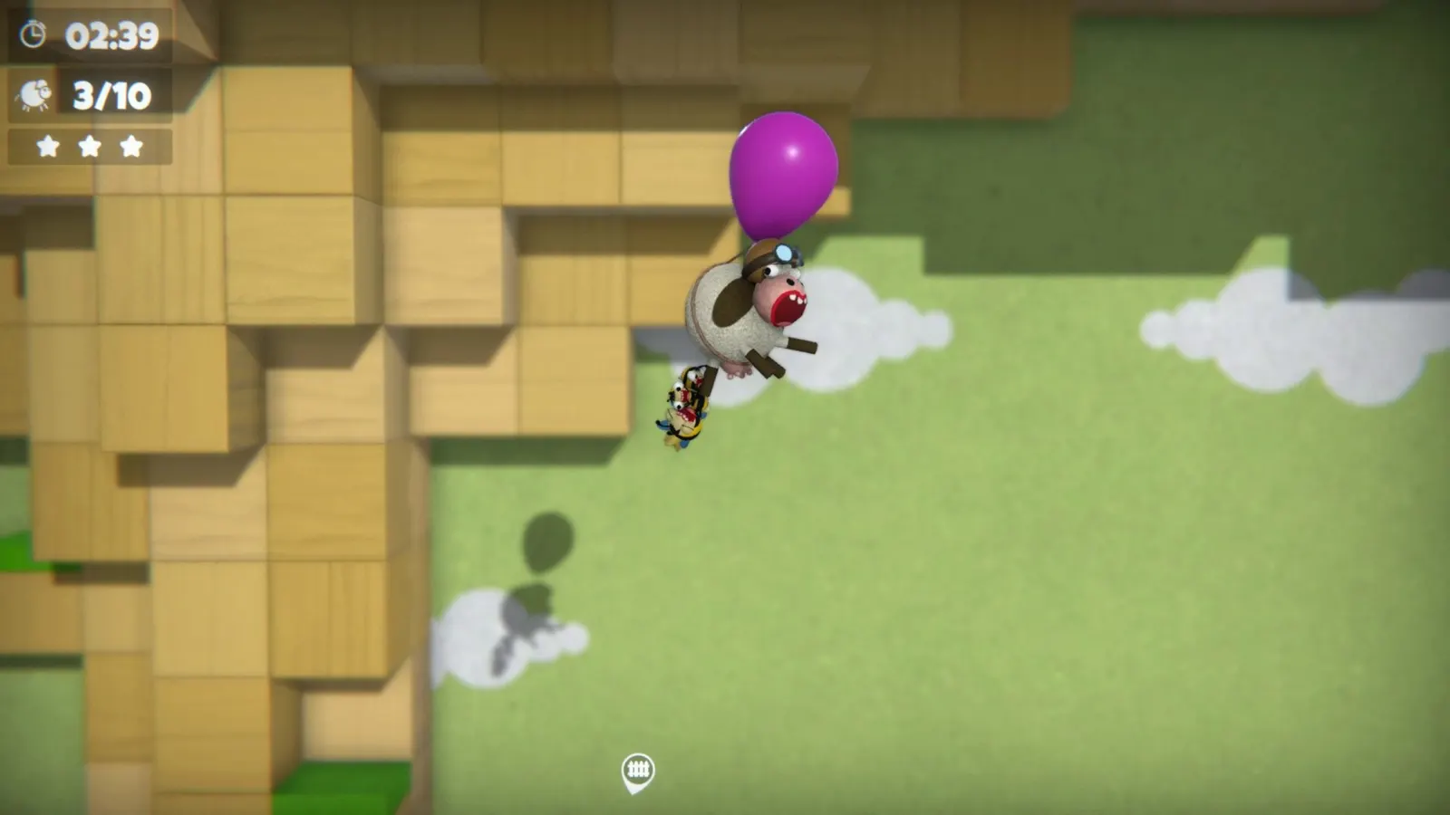 Bug Academy media 13