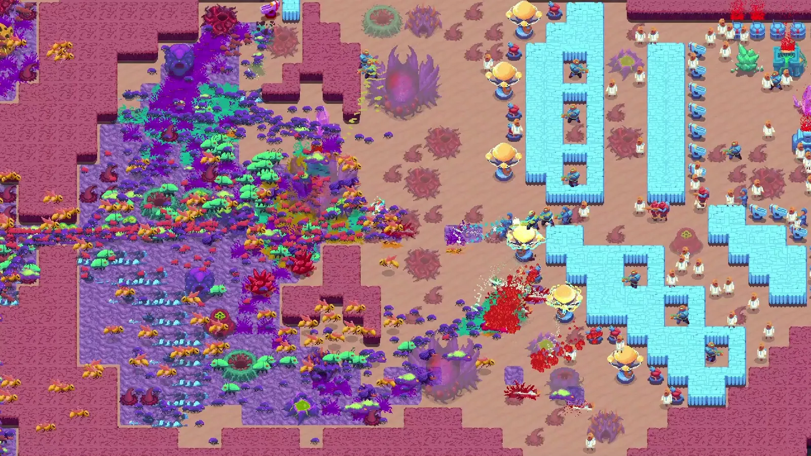 Buggos 2 media 3