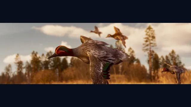 BULT: Hunting simulator