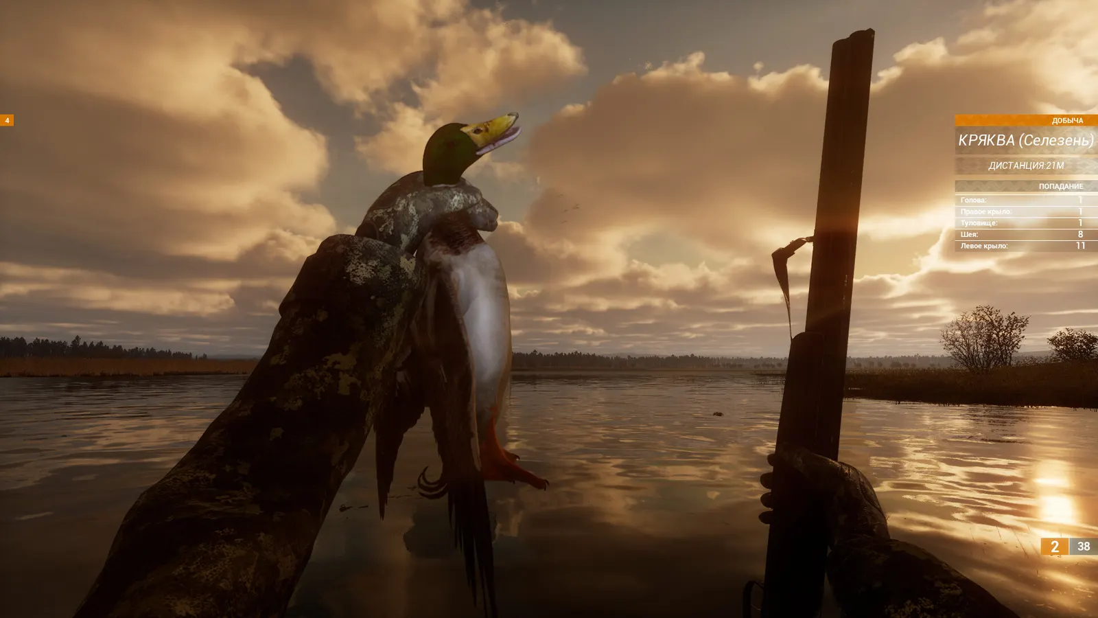 BULT: Hunting simulator media 3
