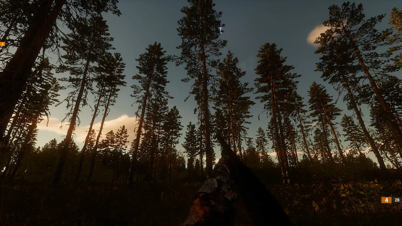 BULT: Hunting simulator media 9