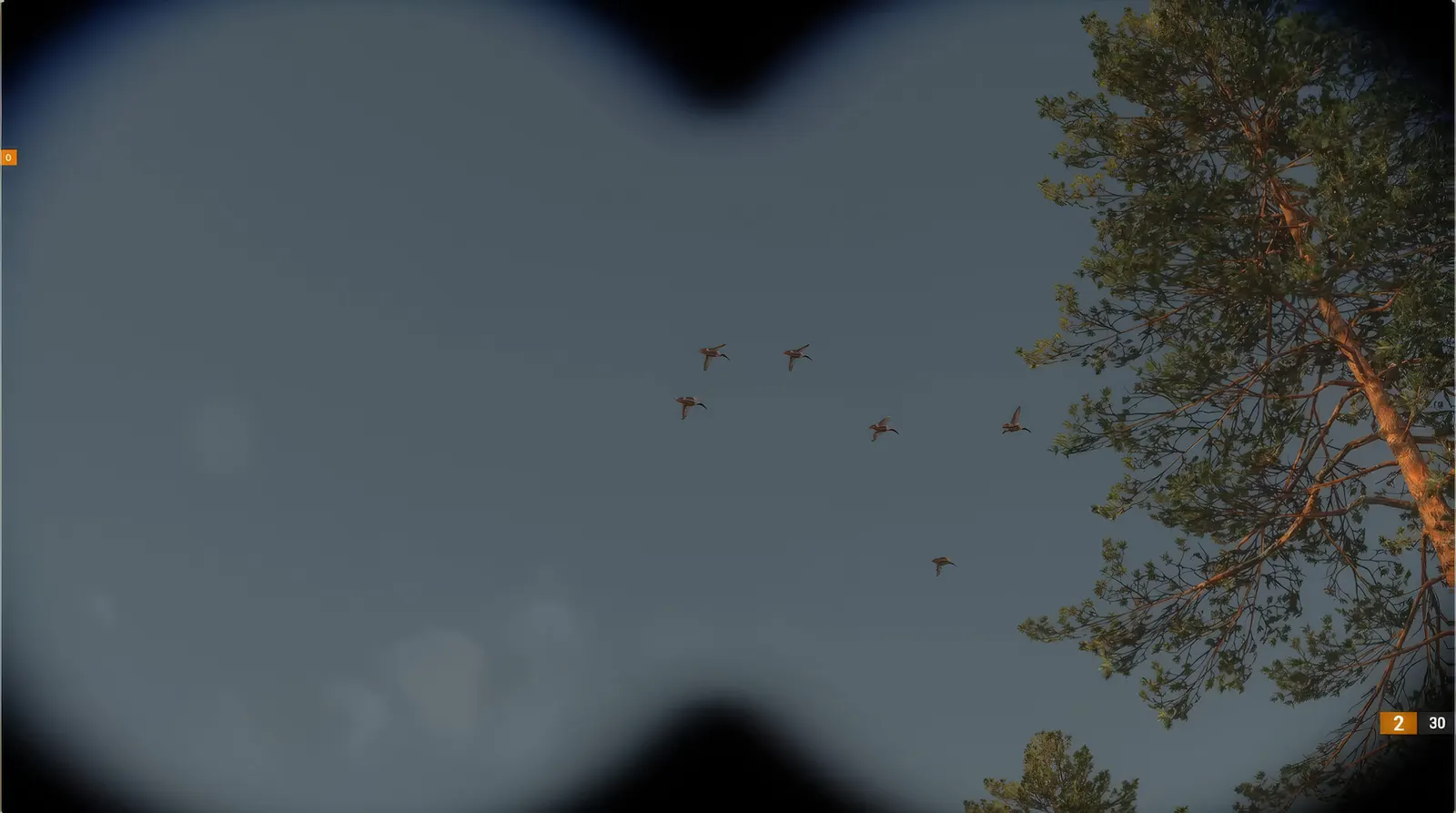 BULT: Hunting simulator media 11