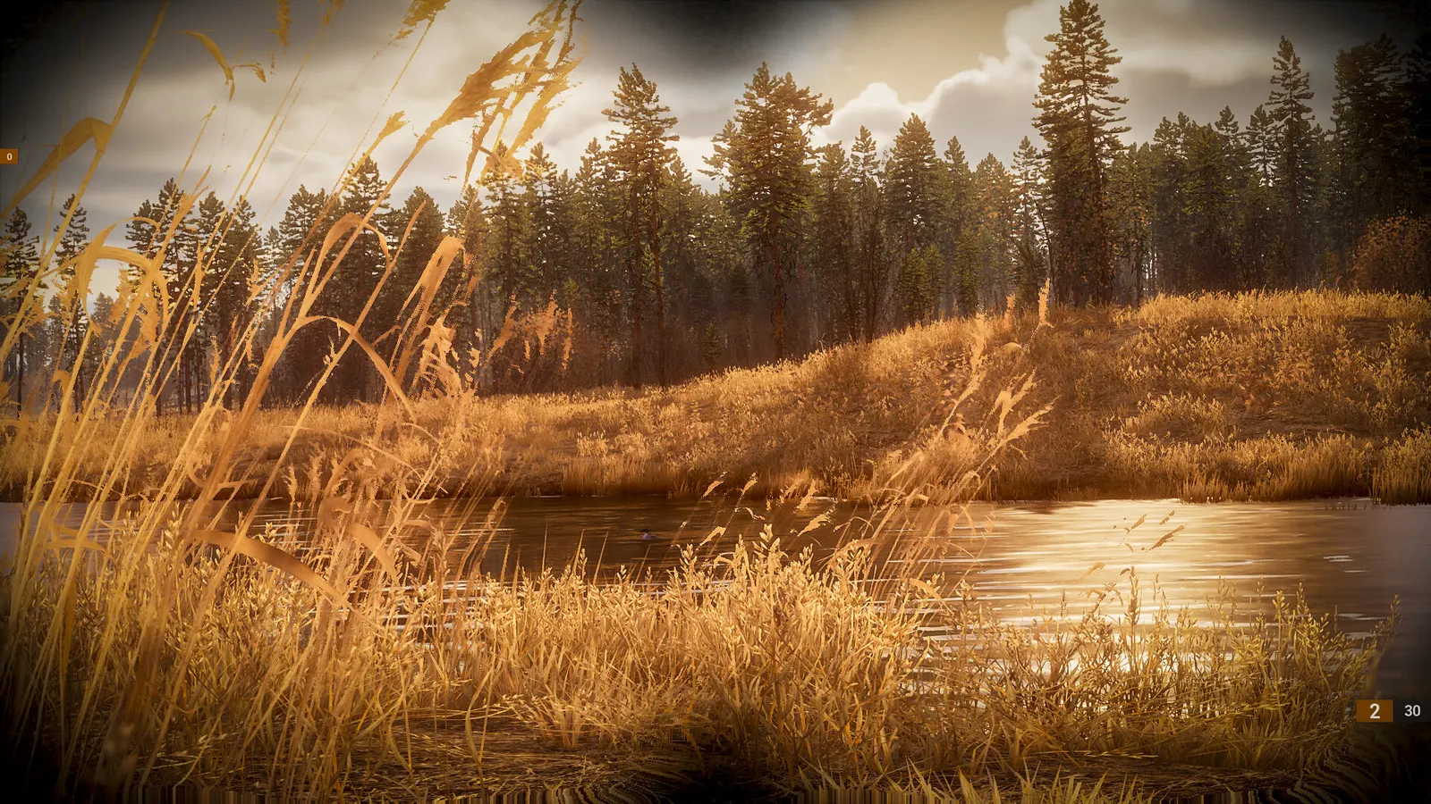 BULT: Hunting simulator media 12