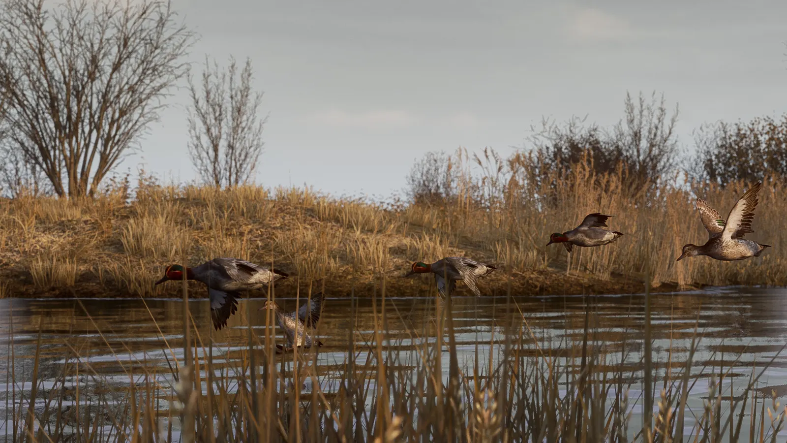 BULT: Hunting simulator media 14