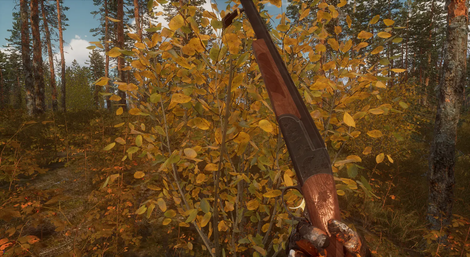 BULT: Hunting simulator media 15